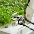 美国首个全自动农场建成，未来你吃的蔬菜可能都是机器人种的