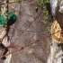 尼泊尔的采蜜人，只靠绳梯在悬崖上采蜜，一人养活全村人，纪录片