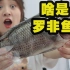 东北人第一次见罗非鱼！这玩意为啥要天天吃？