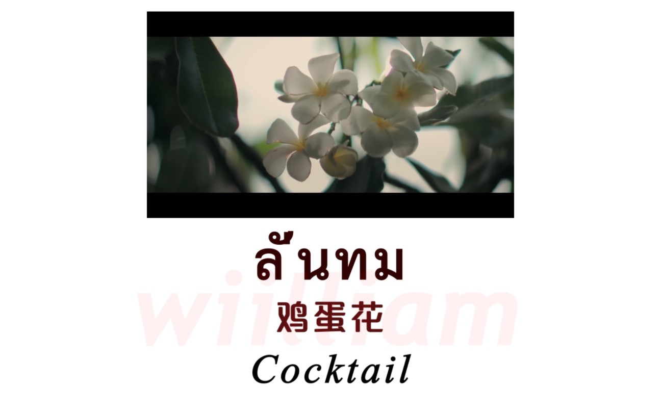【五分钟学会系列】ลั่นทม(鸡蛋花) Ost. 爱的香气 - Cocktail