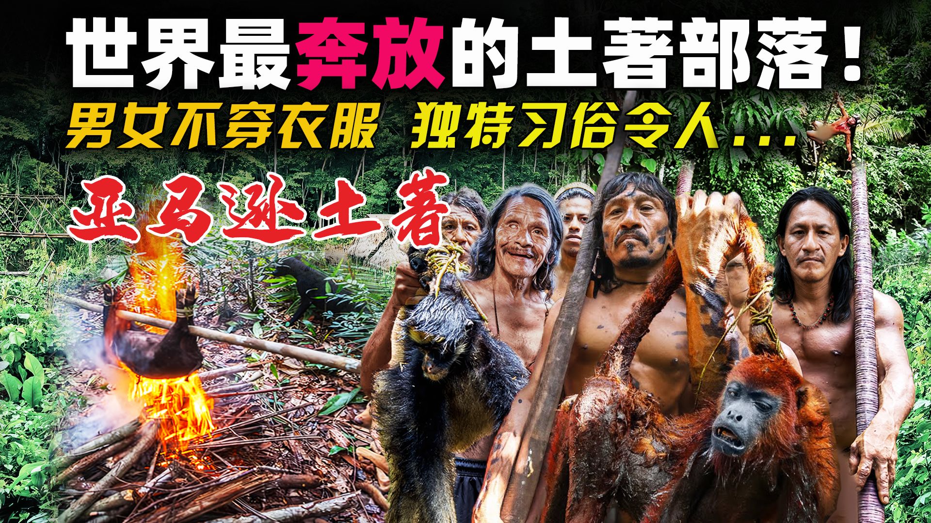 这才叫真正的原始生活！探秘地球最偏僻落后的地区 ，亚马逊雨林中仅剩87人的土著部落，与世隔绝数千年！| 瓦奥拉尼人 | 土着部落 | 瓦拉尼人 | 原始人