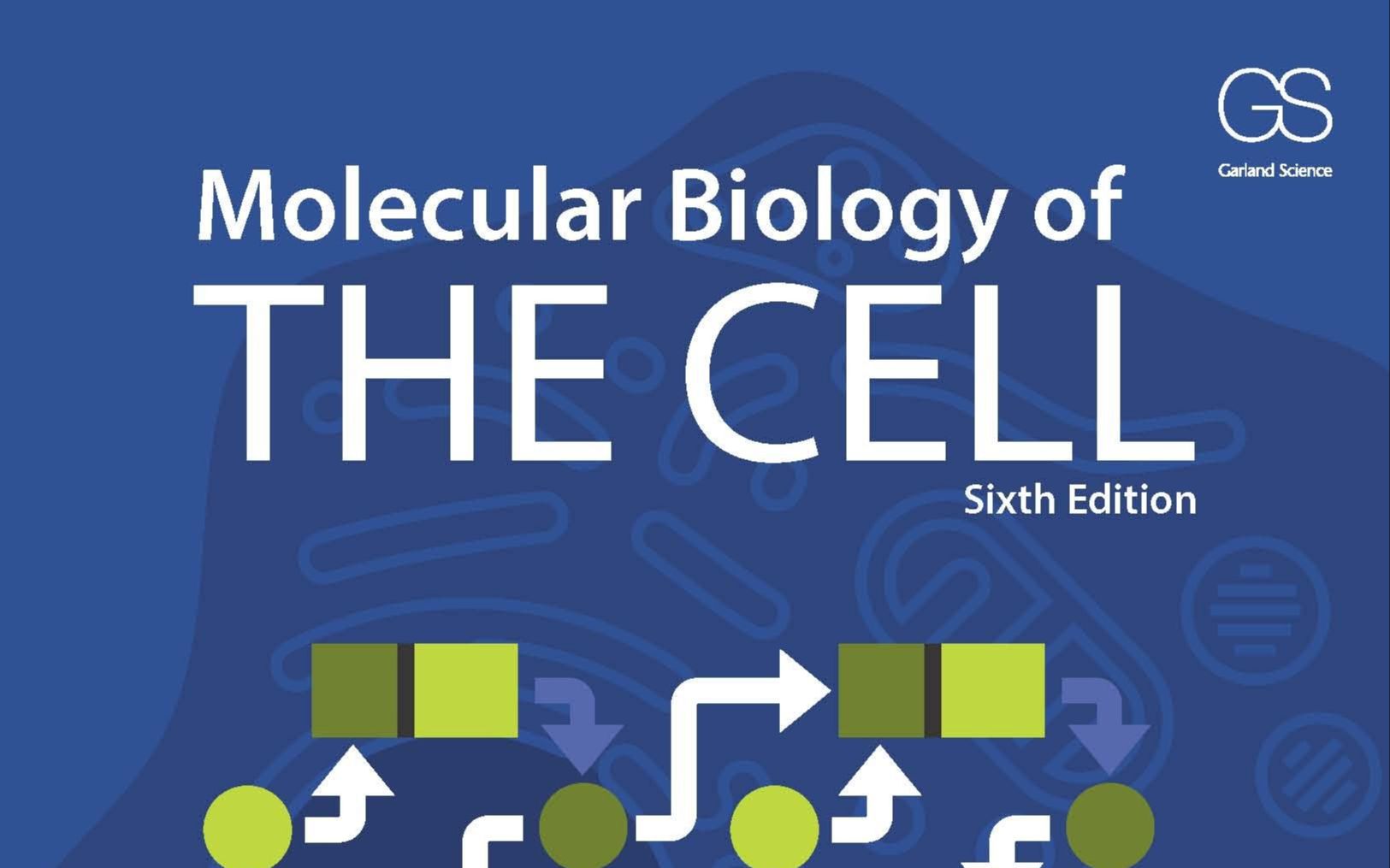双语细胞分子生物学第6版9 Chapter 1-哔哩哔哩