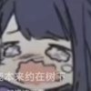 薛之谦《动物世界》，初中生翻唱