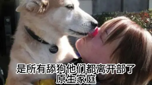 什么样的人容易成为舔狗？