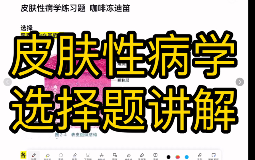 皮肤性病学选择题讲解【皮肤性病学期末速成】