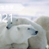 【生态】极地生态学：北极环境变化 2021