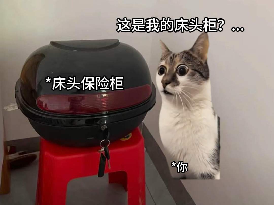 当两广未婚流动人员过年回到家