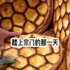 已完结勉后续《月之上位》，头tiao 极速版后续观看#爽文#修仙#大女主