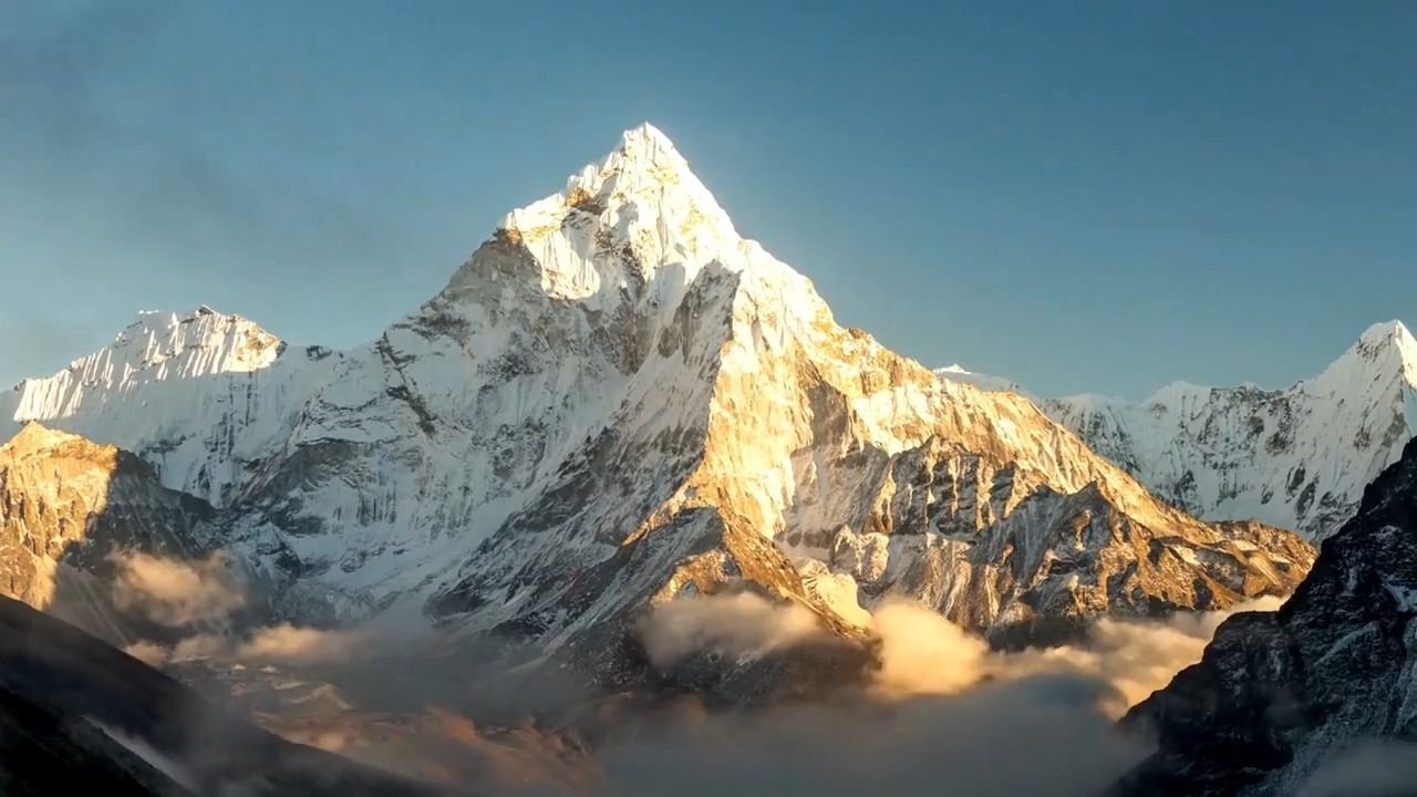 你生来就是享福的，何必再去自己创造劫难？只知道逼迫自己去努力的人更是不堪造就！