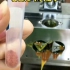 实验室试验用小型密炼机 0.05升密炼机混炼视频 微型开合式密炼机 物料的混合密炼后再用小型平板硫化机压片硫化 测试 小