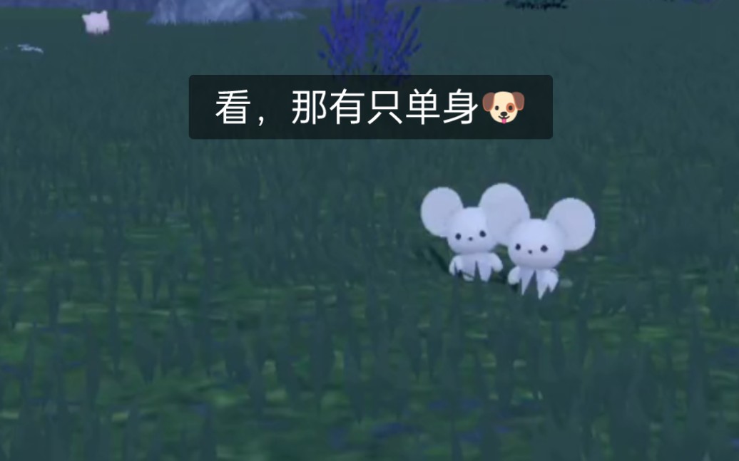 【宝可梦朱紫】玩个游戏而已，为什么游戏也要虐单身狗