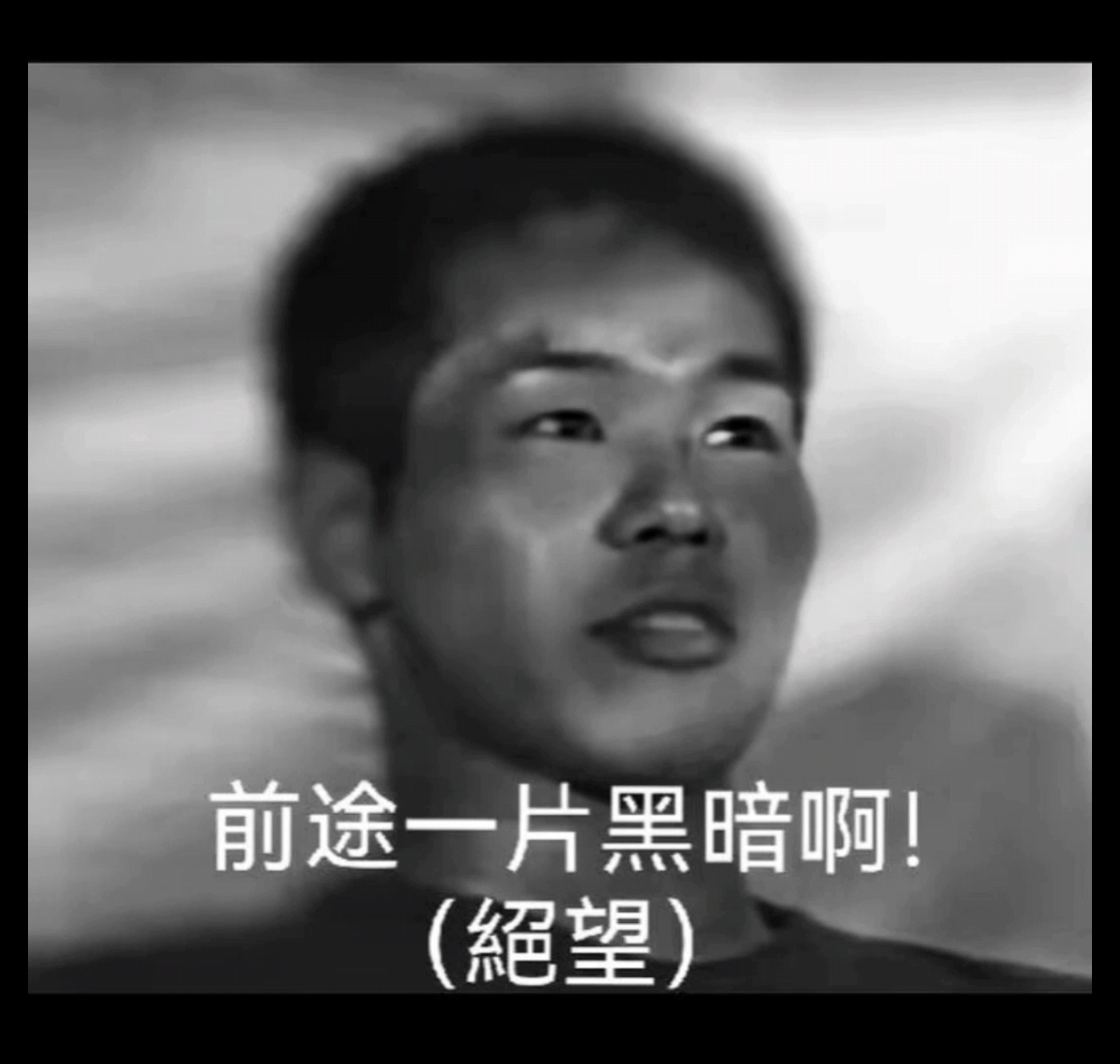 先辈表情包大合集#3