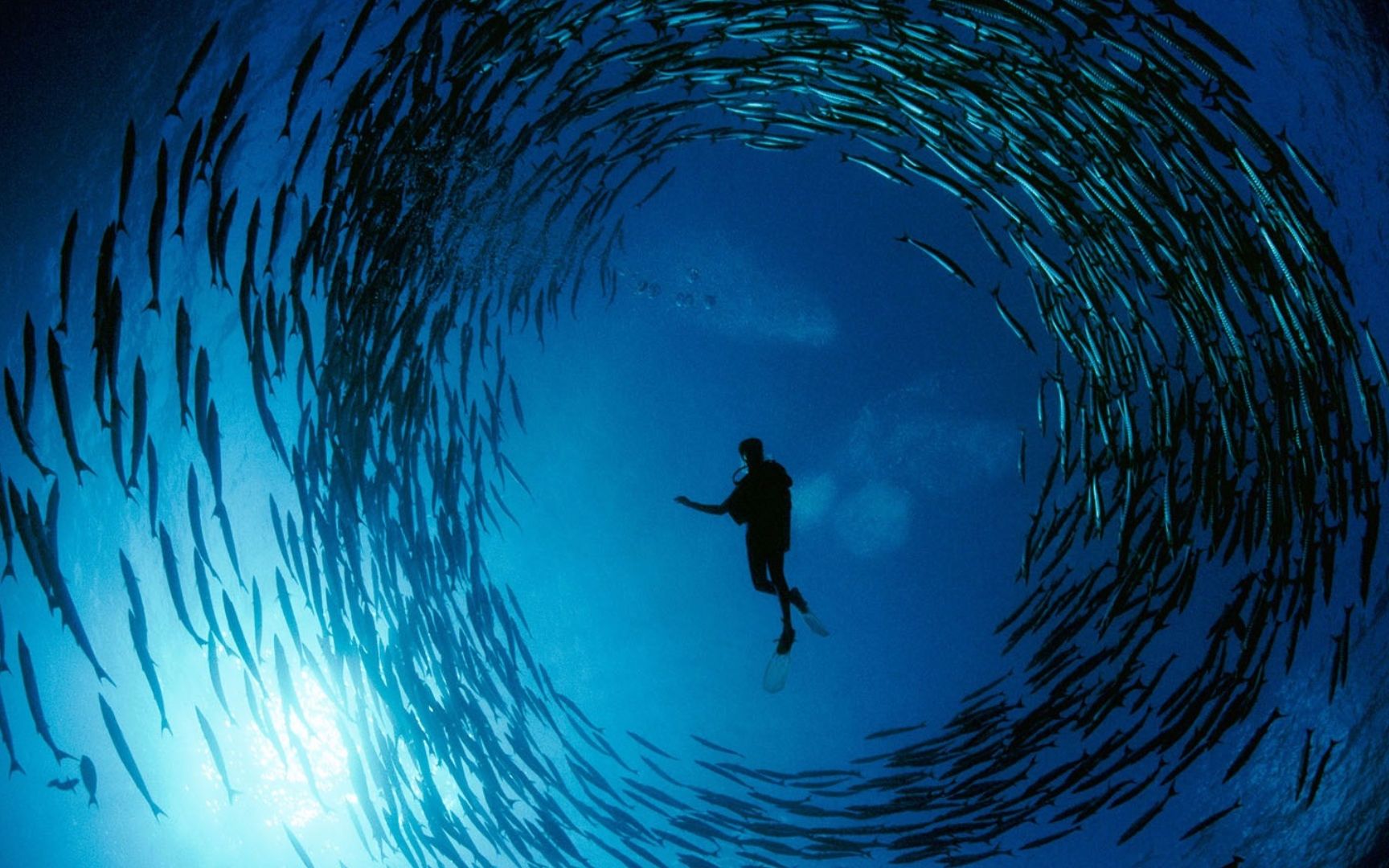 海平面下的"外太空",去诗巴丹看一场蓝色海狼风暴