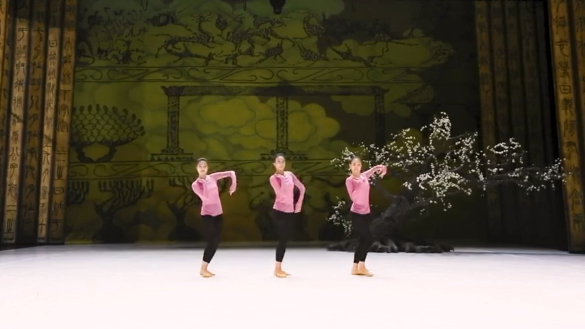 中国歌舞剧院翻跳版《采薇》脚步超清晰！
