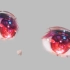 二次元闪亮红宝石眼睛画法