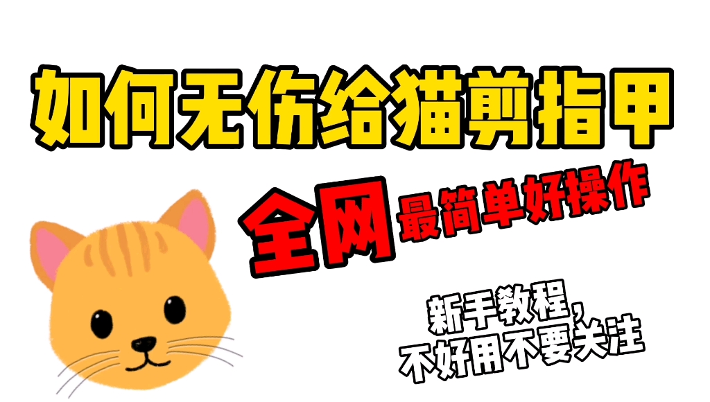 误 震惊 给猫剪指甲如此简单 快在你家猫挠床单沙发前看看吧 哔哩哔哩 つロ干杯 Bilibili