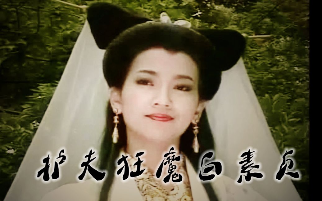 护夫狂魔白素贞