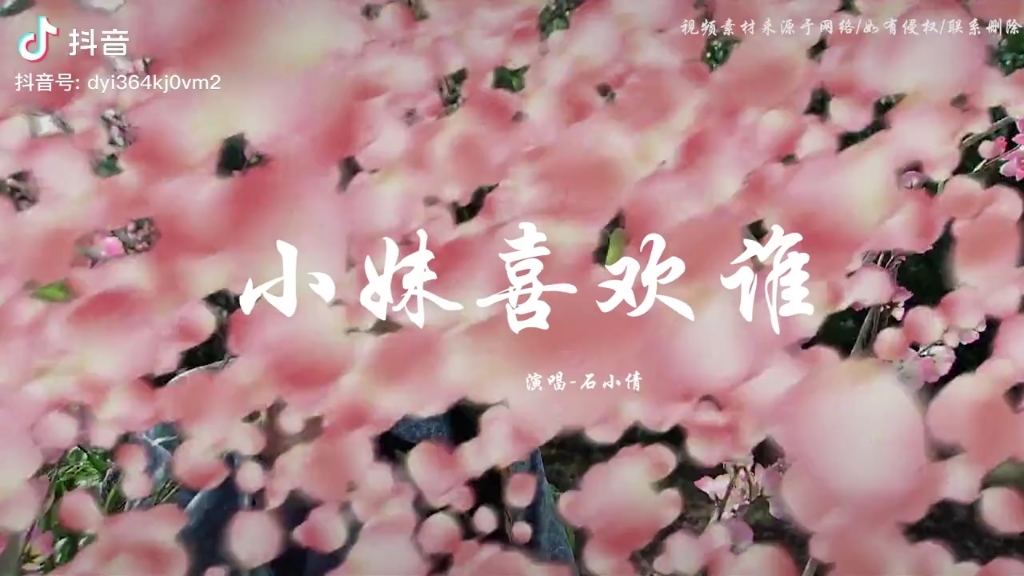 石水倩《小妹喜欢谁》