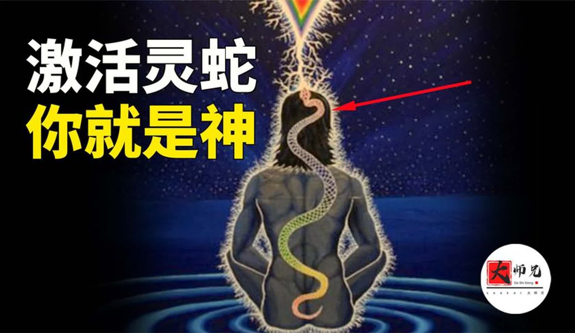 如果你能激活身体中的这条灵蛇！那么你就是神