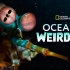 【纪录片】海洋异物志 全3集 中英双语字幕 Ocean's Weirdest（2022）