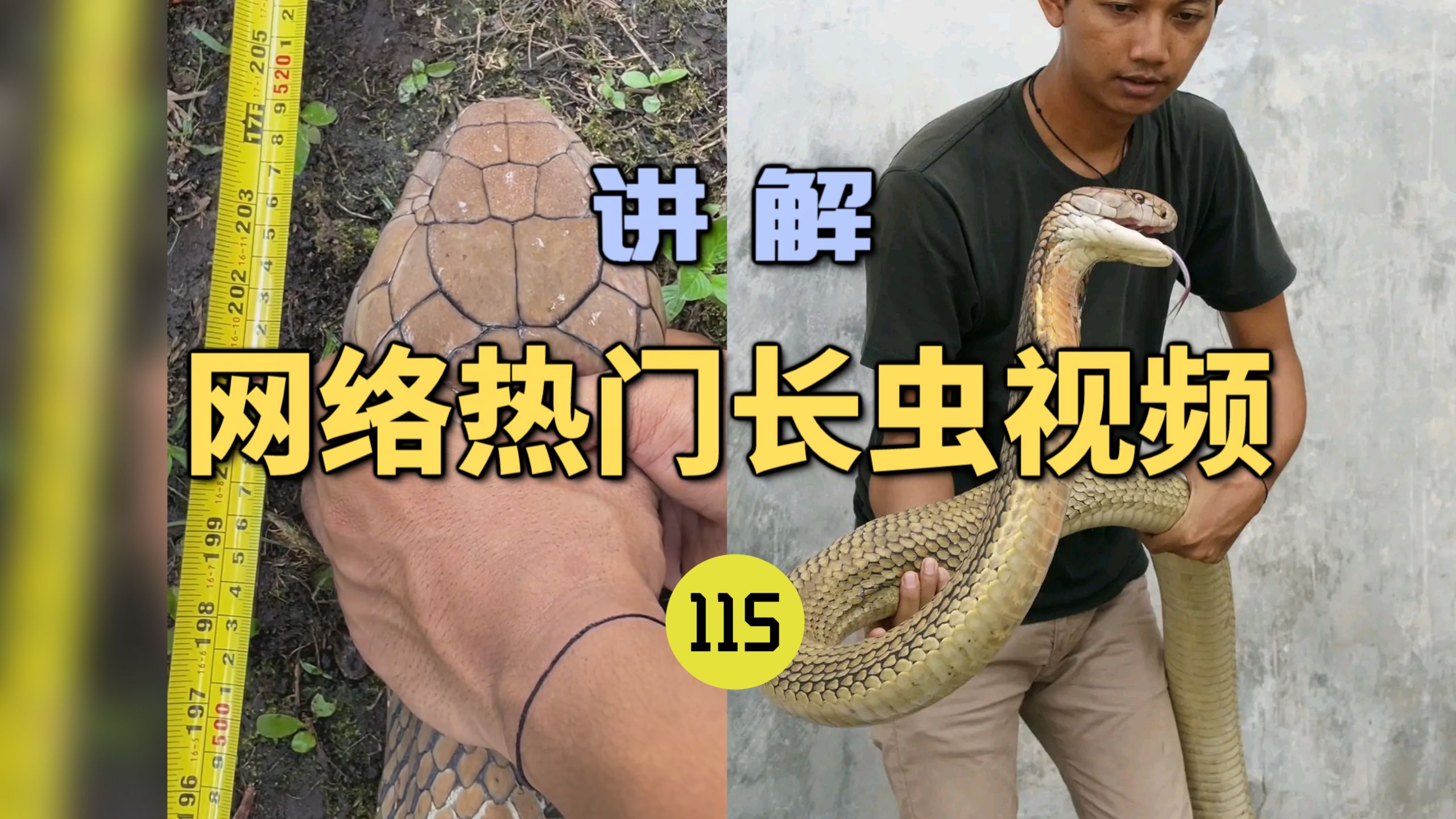 世界记忆大师龙雅