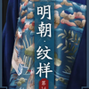 明朝纹样（中国纹样发展史-第14集