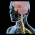 3D医学动画：周围神经病变
