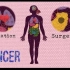 【Ted-ED】癌细胞的行为与健康细胞有何不同？How Do Cancer Cells Behave Different
