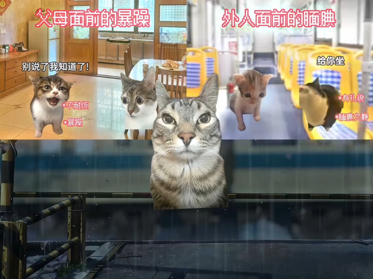 原生家庭的时好时坏让我拥有四个人格……#猫meme #情感共鸣 #太真实了