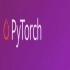 pytorch 入门学习（目前见过最好的pytorch学习视频）