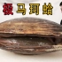 巨大贝壳，吃一个都能饱，刺身极品