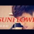 【张若昀】【个人安利向】Sunflower ---壮志凌云