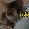 偷看我上厕所，嘤嘤嘤，变态