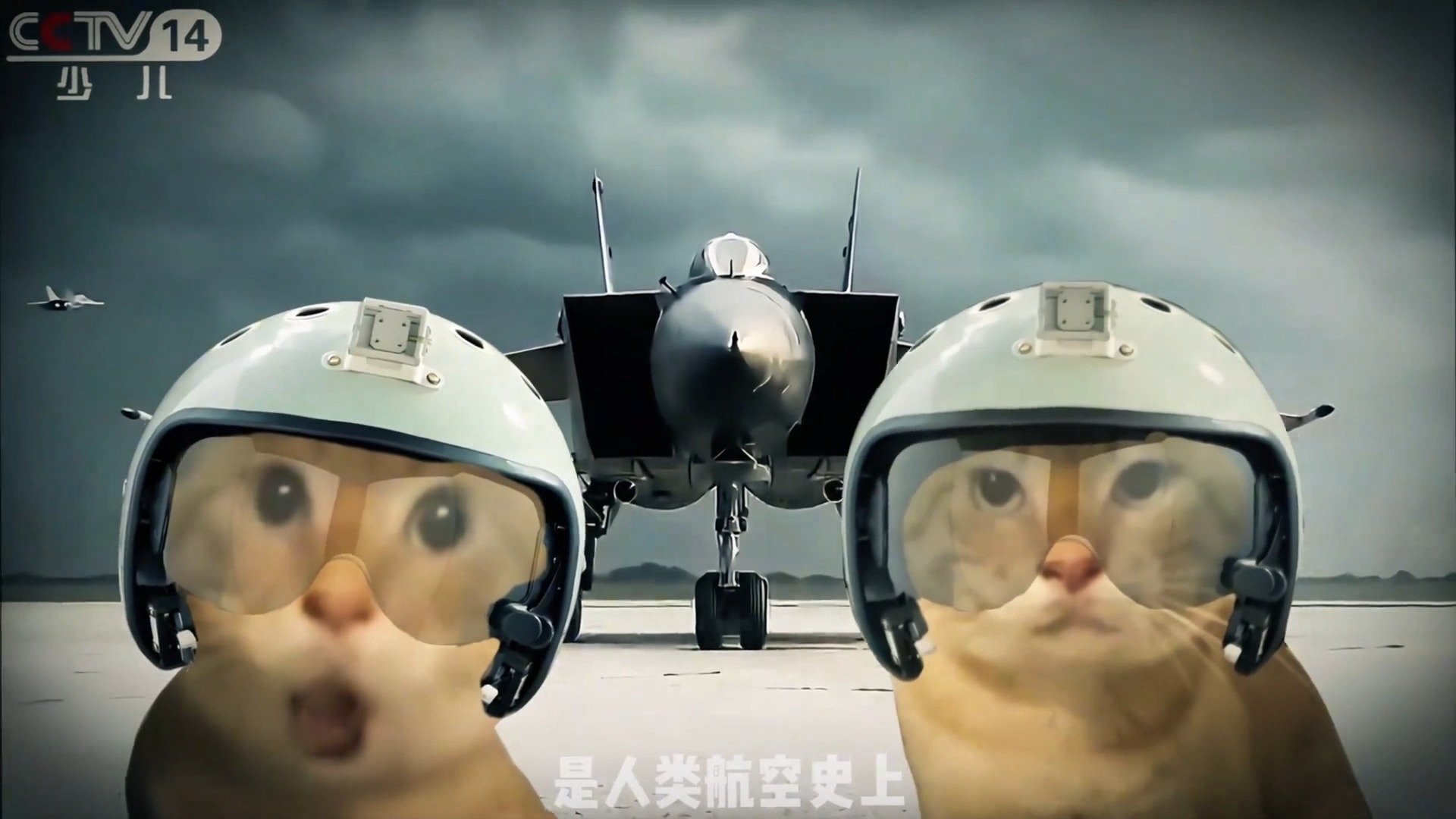 猫儿这个壮志凌云