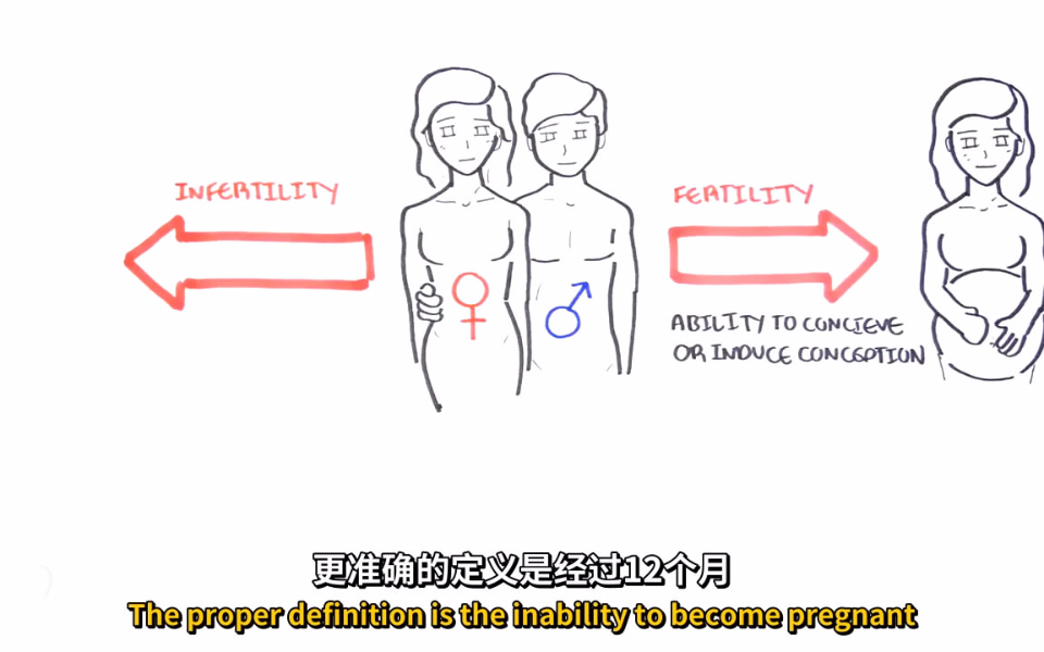 【双语】女性不孕症病因及分析@阿尔法小分队科教组