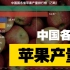 数据可视化，中国各省苹果产量排行榜