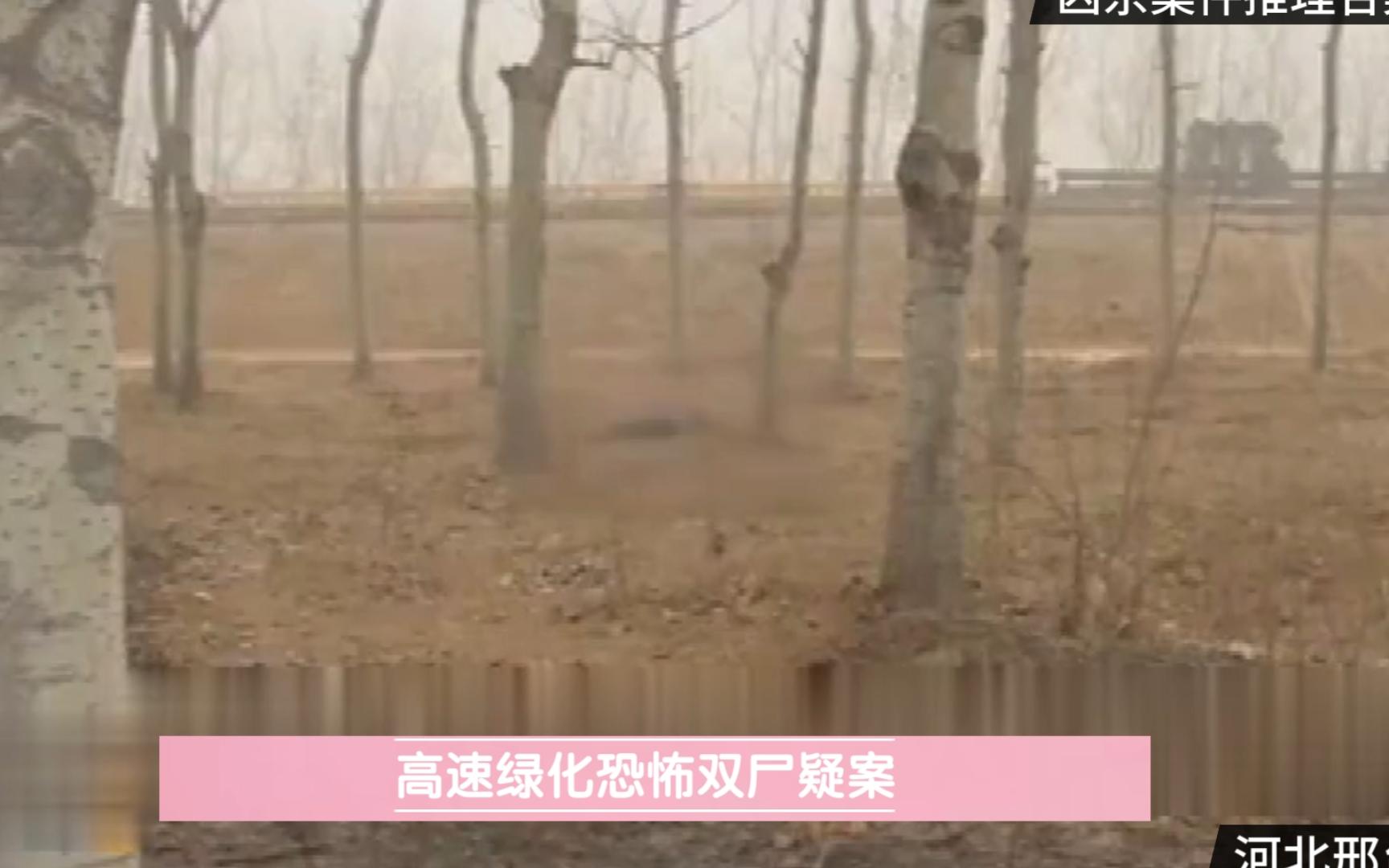 河北省邢台市 《高速绿化恐怖双尸疑案》