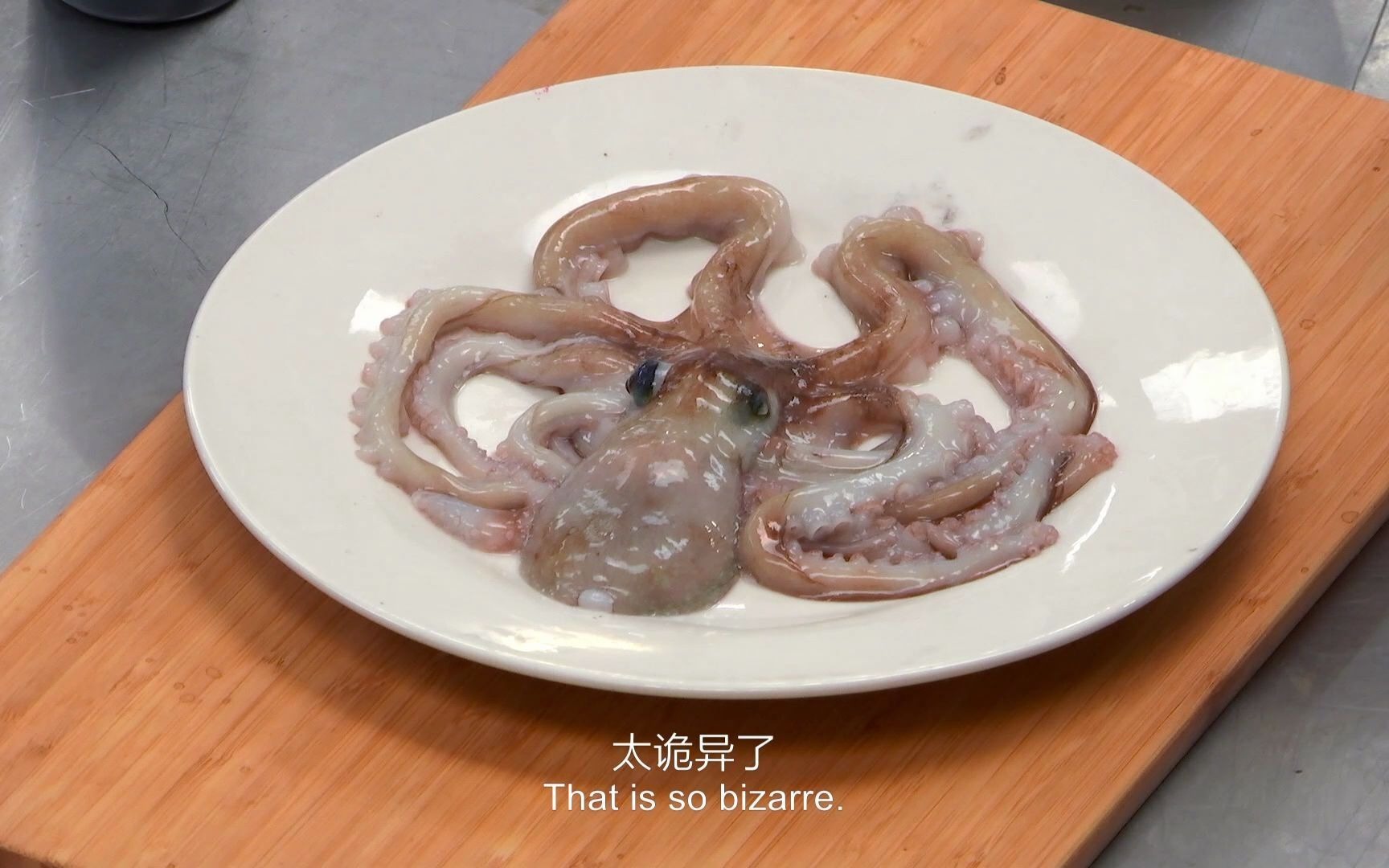 【科学恶作剧】看点8：复活的章鱼！