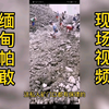 这就是缅甸北当地人对中国人非常敌视的主要原因