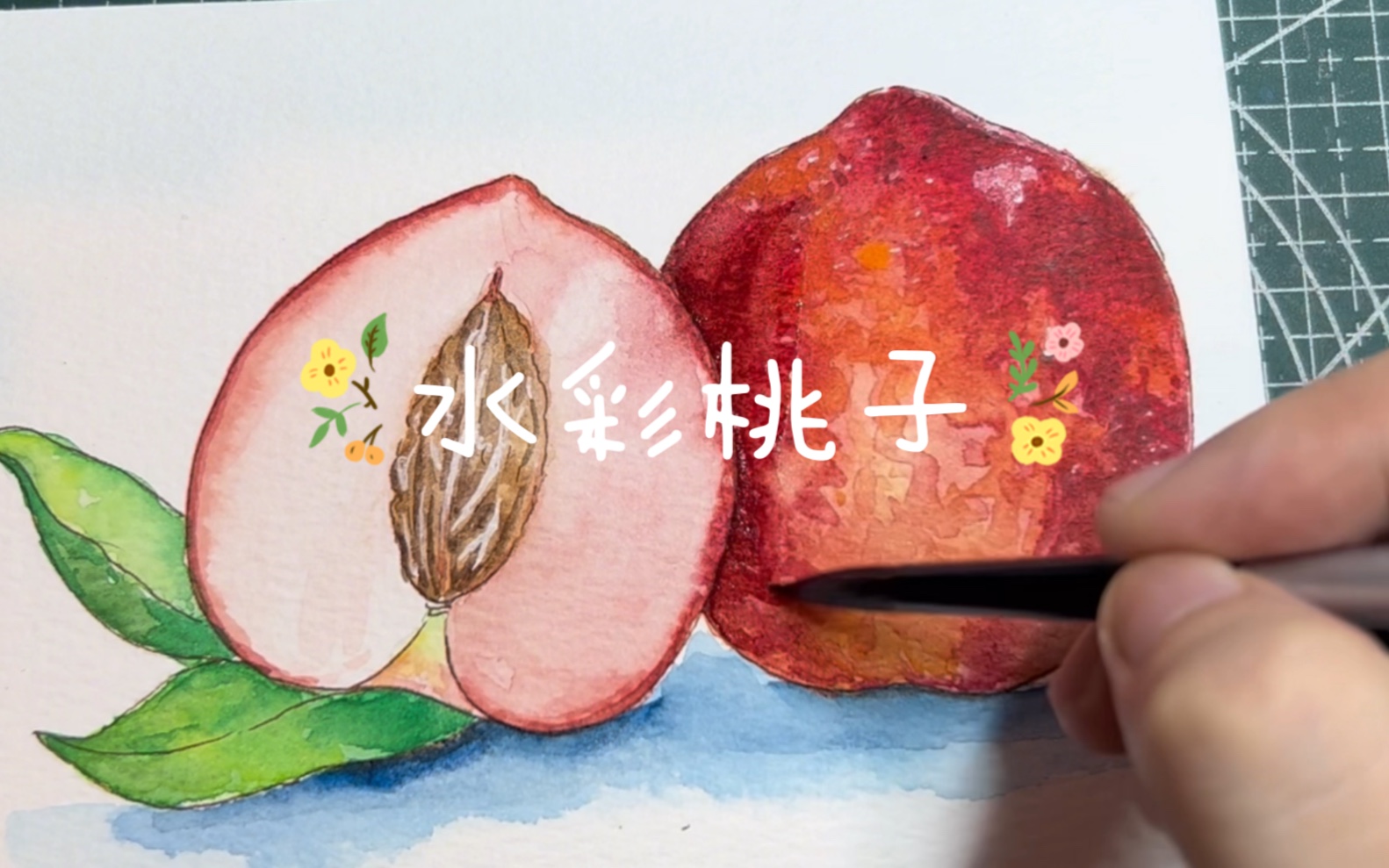 水彩桃子水果入门新手保姆级教程简单