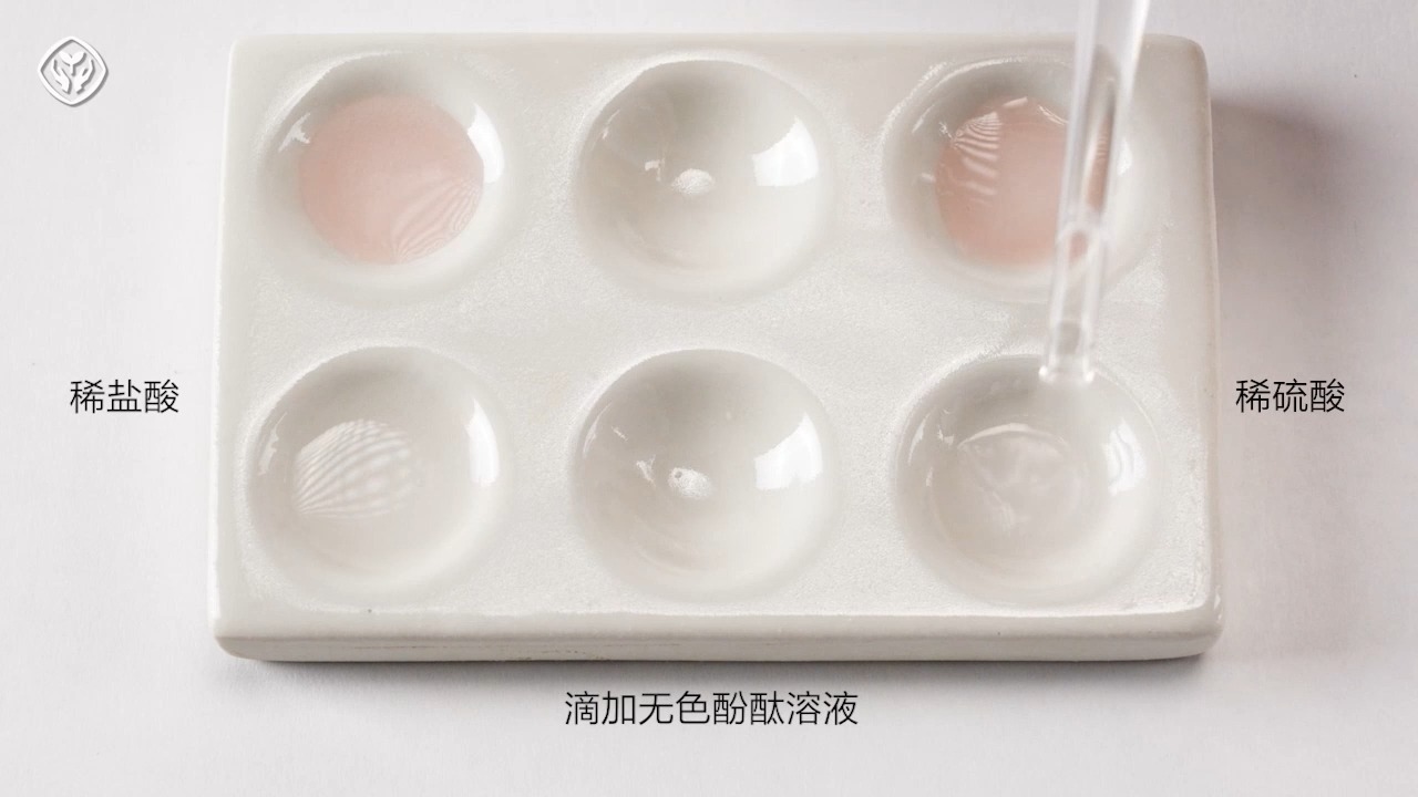 1002 稀盐酸和稀硫酸分别与指示剂反应 2024人教新版