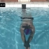 平滑流畅的自由泳技术（含巡航游、轻松、中速、冲刺游泳数据）