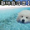 《西伯利亚佬の环球之旅