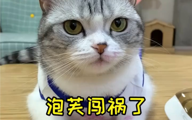 今天献上爱吃火龙果的王泡芙