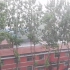 为郑州人民这次暴雨祈福！暴雨预警等级标准。