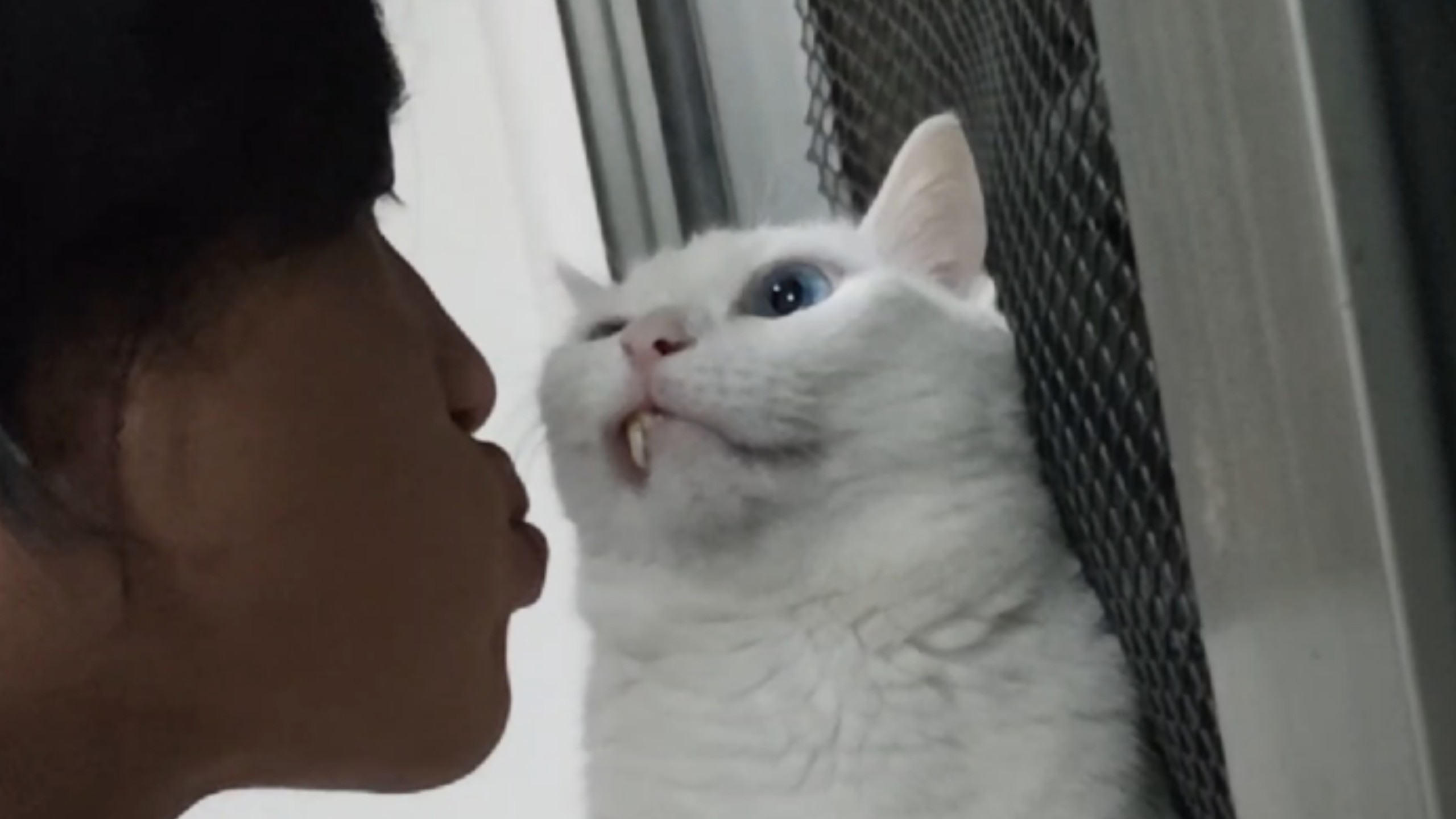 啧的威力