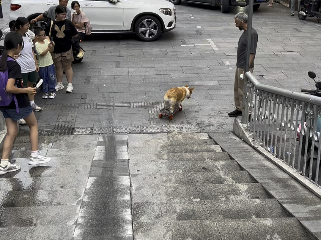 侧转弯也太丝滑了