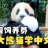 韩国饲养员担心大熊猫回中国后交不到朋友，居然教大熊猫中文！
