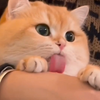 心都化了，怎么像小朋友一样软fufu