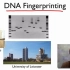 DNA fingerprinting and DNA profiling